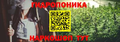 мяу мяу мука Комсомольск-на-Амуре