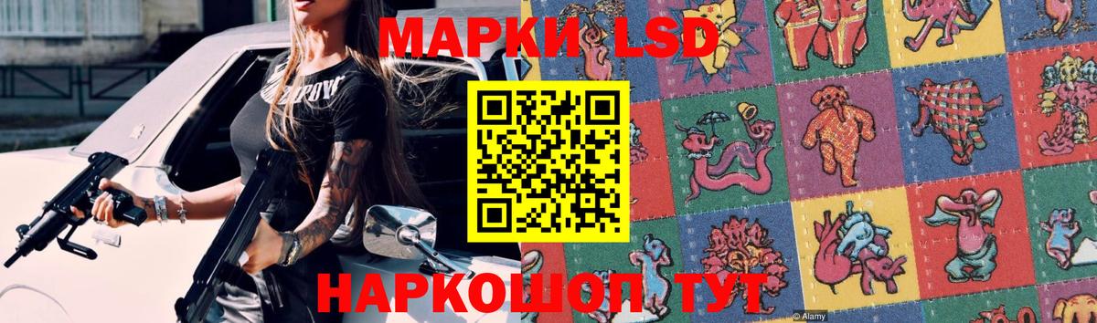 A-PVP Краснознаменск