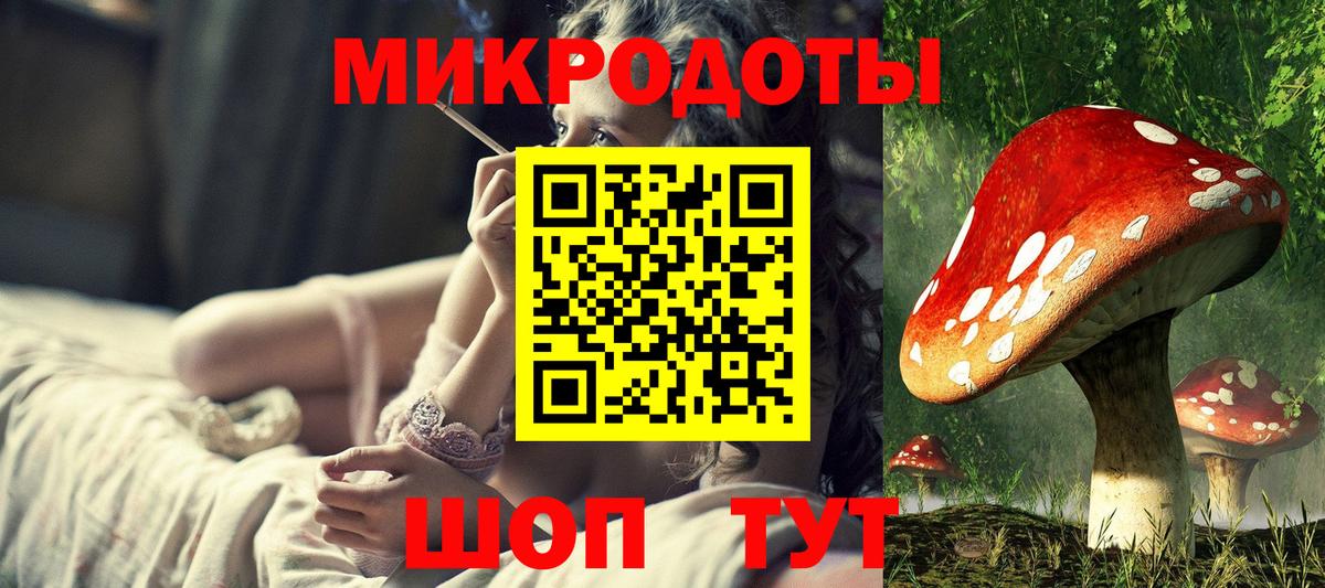 Псилоцибиновые грибы мицелий Краснознаменск