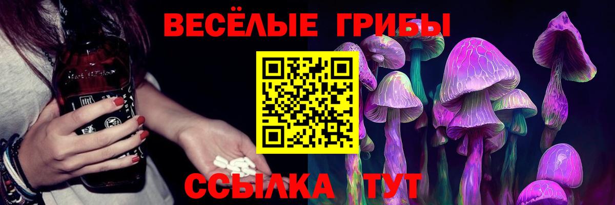 Галлюциногенные грибы Cubensis  Псилоцибиновые грибы мицелий  Краснознаменск  Вход с VPN 